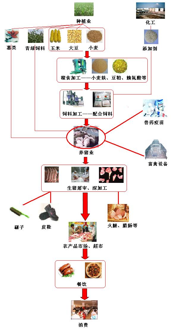 以养猪业为核心的产业链示意图