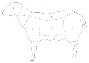 羊肉分档图