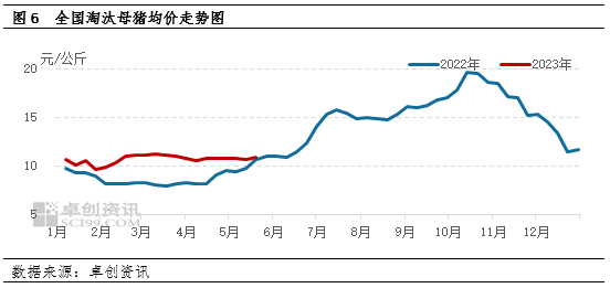 卓創資訊生豬月評需求疲軟豬價低位震盪2023年5月