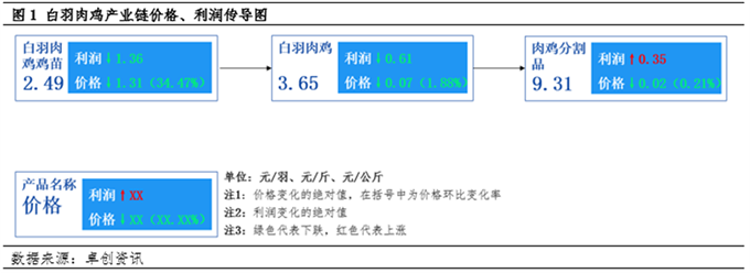 白羽肉鸡采食量表图片